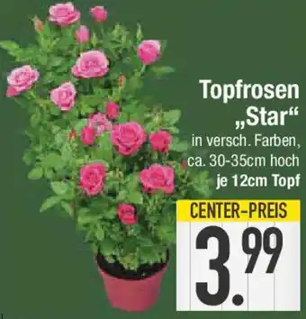 E-Center Topfrosen ,,Star" Angebot