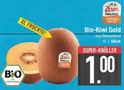 E-Center Zespri Bio-Kiwi Gold Angebot
