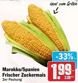 Hit Marokko/Spanien Frischer Zuckermais Angebot