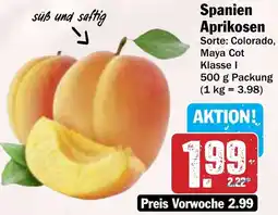 Hit Spanien Aprikosen Angebot