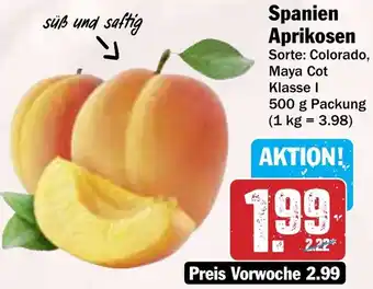 Hit Spanien Aprikosen Angebot