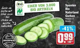 Hit Spanien Bio Naturland Gurken Angebot