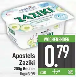 E-Center Apostels Zaziki Angebot