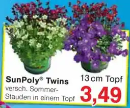 Jawoll SunPoly Twins Angebot