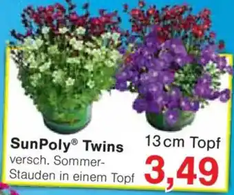 Jawoll SunPoly Twins Angebot