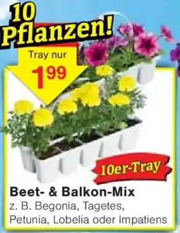 Jawoll Beet- & Balkon-Mix Angebot