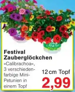 Jawoll Festival Zauberglöckchen Angebot