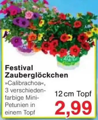 Jawoll Festival Zauberglöckchen Angebot