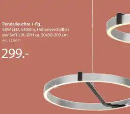 Zurbrüggen Dieter Knoll Pendelleuchte 1-flg. Angebot