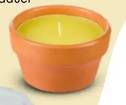 TEDi Citronella-Kerzen Angebot