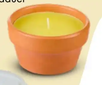 TEDi Citronella-Kerzen Angebot