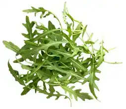 Kaufland Rucola Angebot