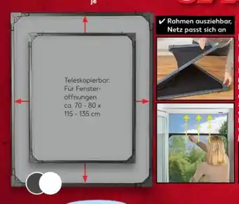 Kaufland easy! MAXX Teleskop-Insektenschutzgitte Angebot