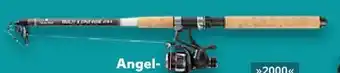 Kaufland Newcential Angel-Set Angebot