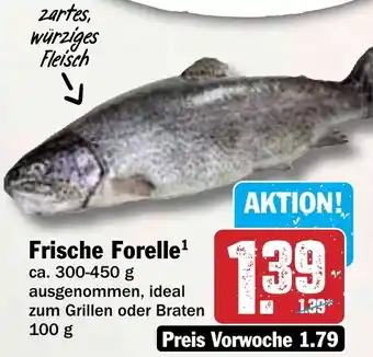 Hit Frische Forelle Angebot