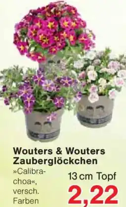 Jawoll Wouters & Wouters Zauberglöckchen Angebot