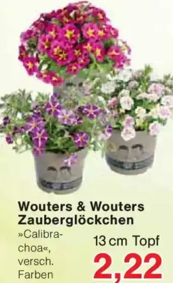Jawoll Wouters & Wouters Zauberglöckchen Angebot