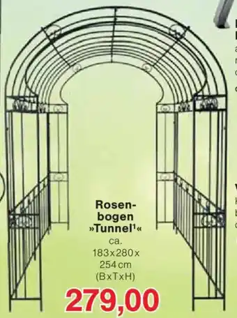 Jawoll Rosenbogen Tunnel Angebot
