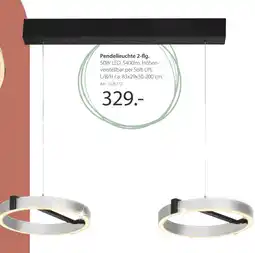Zurbrüggen Pendelleuchte 2-flg Angebot