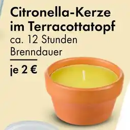 TEDi Citronella-kerze im terracottatopf Angebot