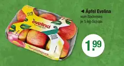 V Markt Evelina äpfel evelina Angebot