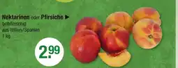 V Markt Nektarinen Angebot