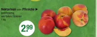 V Markt Nektarinen Angebot