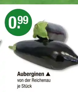 V Markt Auberginen Angebot