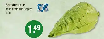 V Markt Spitzkraut Angebot