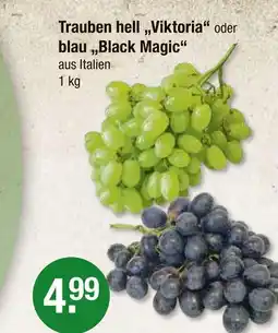 V Markt Trauben hell „viktoria“ Angebot