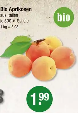 V Markt Bio aprikosen Angebot