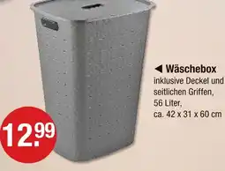 V Markt Wäschebox Angebot