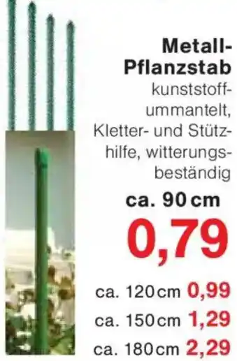 Jawoll Metall Pflanzstab Angebot