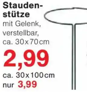 Jawoll Staudenstütze Angebot