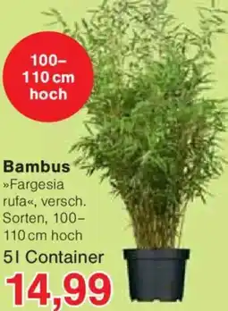 Jawoll Bambus Angebot