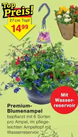 Jawoll Premium Blumenampel Angebot