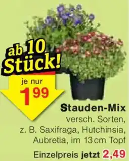 Jawoll Stauden-Mix Angebot