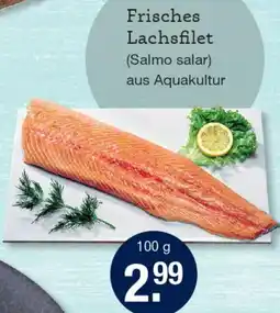 V Markt Frisches Lachsfilet Angebot