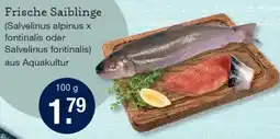 V Markt Frische Saiblinge Angebot