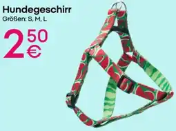 PEPCO Hundegeschirr Angebot
