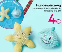 PEPCO Hundespielzeug Angebot