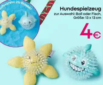 PEPCO Hundespielzeug Angebot