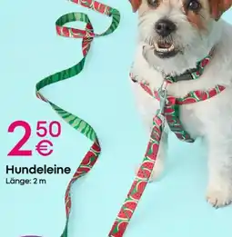 PEPCO Hundeleine Angebot