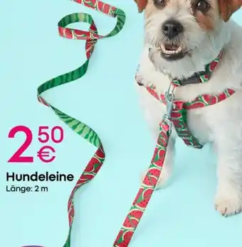 PEPCO Hundeleine Angebot