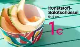 PEPCO Kunststoff Salatschüssel Angebot