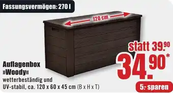 B1 Discount Baumarkt Auflagenbox Woody Angebot