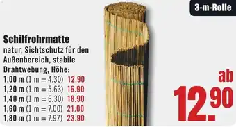 B1 Discount Baumarkt Schilfrohrmatte Angebot