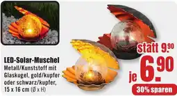 B1 Discount Baumarkt LED-Solar Muschel Angebot