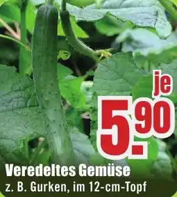 B1 Discount Baumarkt Veredeltes Gemüse Angebot