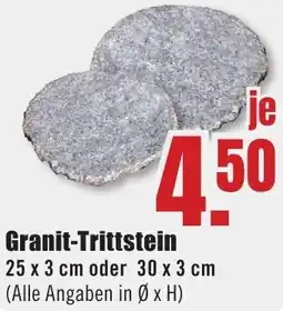 B1 Discount Baumarkt Granit-Trittstein Angebot